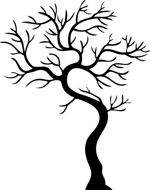 Arboles y Florales - Imagen 53
