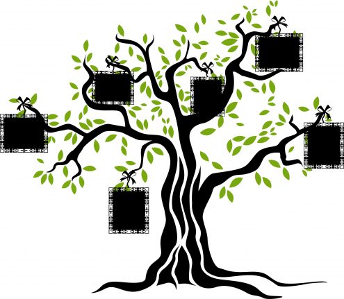 Arboles y Florales - Imagen 30