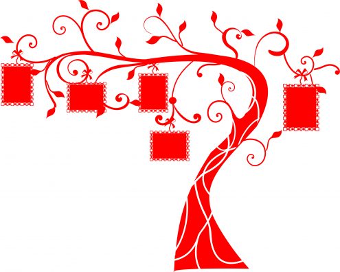 Arboles y Florales - Imagen 28