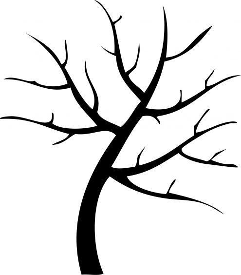 Arboles y Florales - Imagen 70