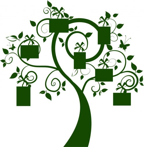 Arboles y Florales - Imagen 37