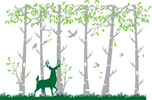 Arboles y Florales - Imagen 127