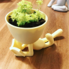 Maceta Robert Plant - Imagen 4