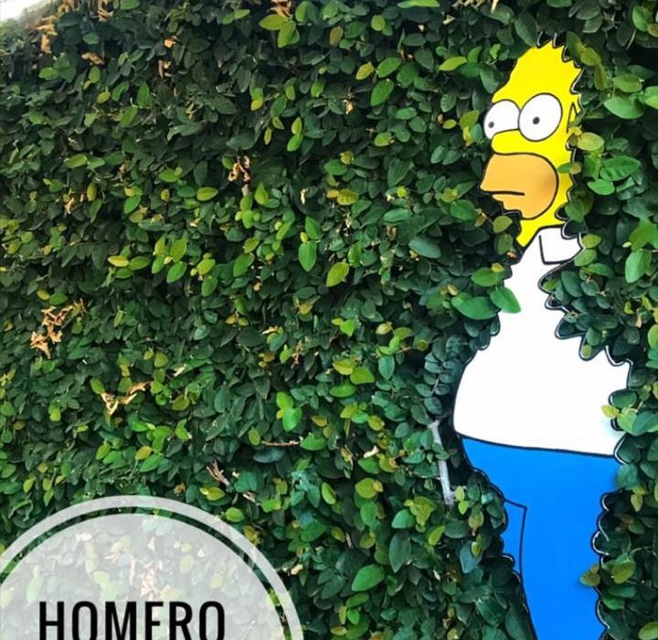 Imagen destacada